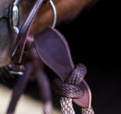 Slobber Straps