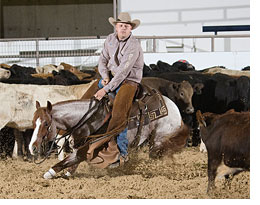 Austin Shepard on Bet Hesa Cat