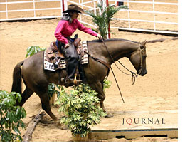 Laurie Shelton 2012 AQHA Versatility Ranch Horse World Show, Amateur World Champion