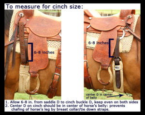 Cinch size measurement for CC email 600 x 476