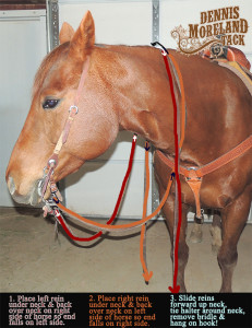 Removing reins-horse 600 x 777 DSCN0932