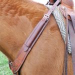 Pulling Breast Collar