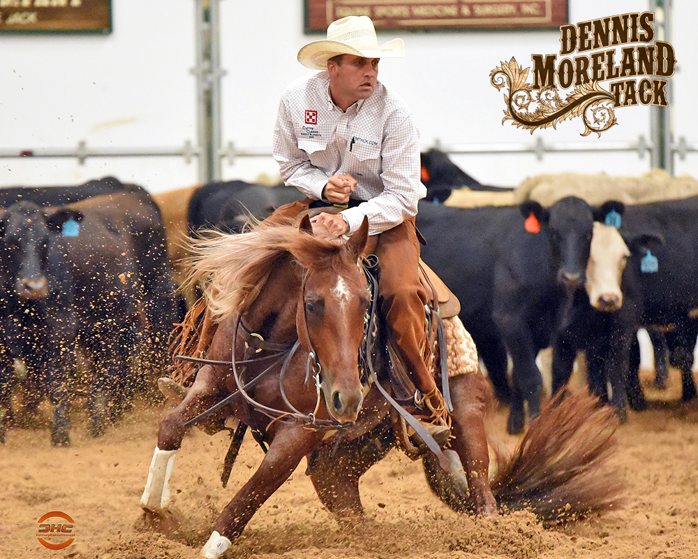 Naturally Weighted Reins