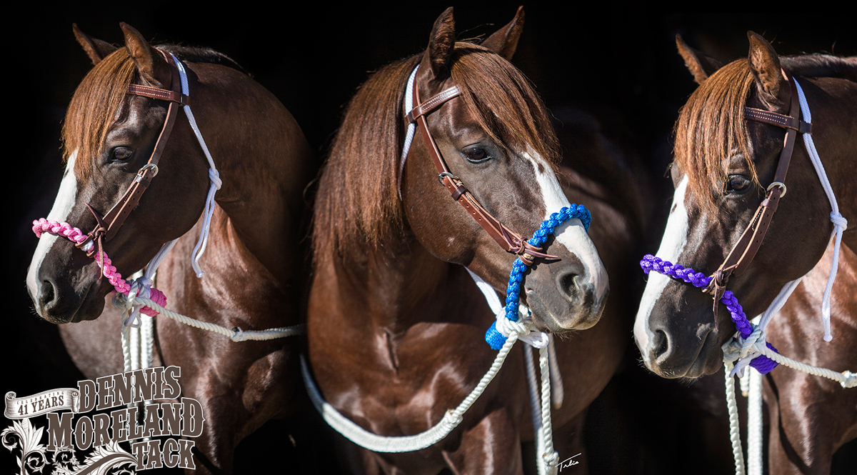 Soft 4 Plait Loping Hackamore