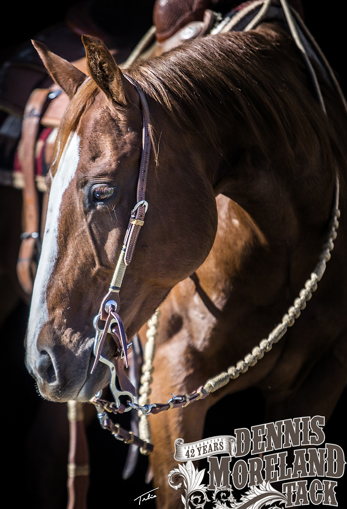Slot Ear Headstall with Rawhide & Black Ring Knots