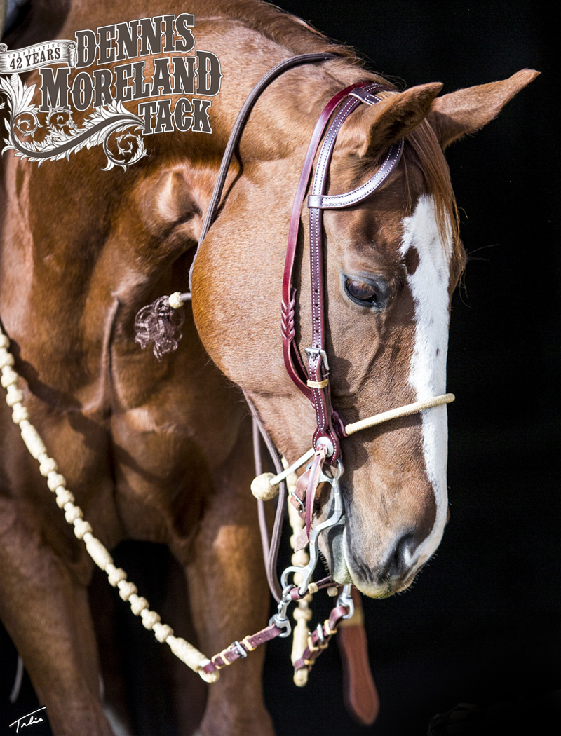 Why Use a Get Down on Your Horse