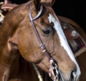 Latigo Slide Ear Headstall