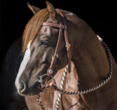 Performance Rein RR30