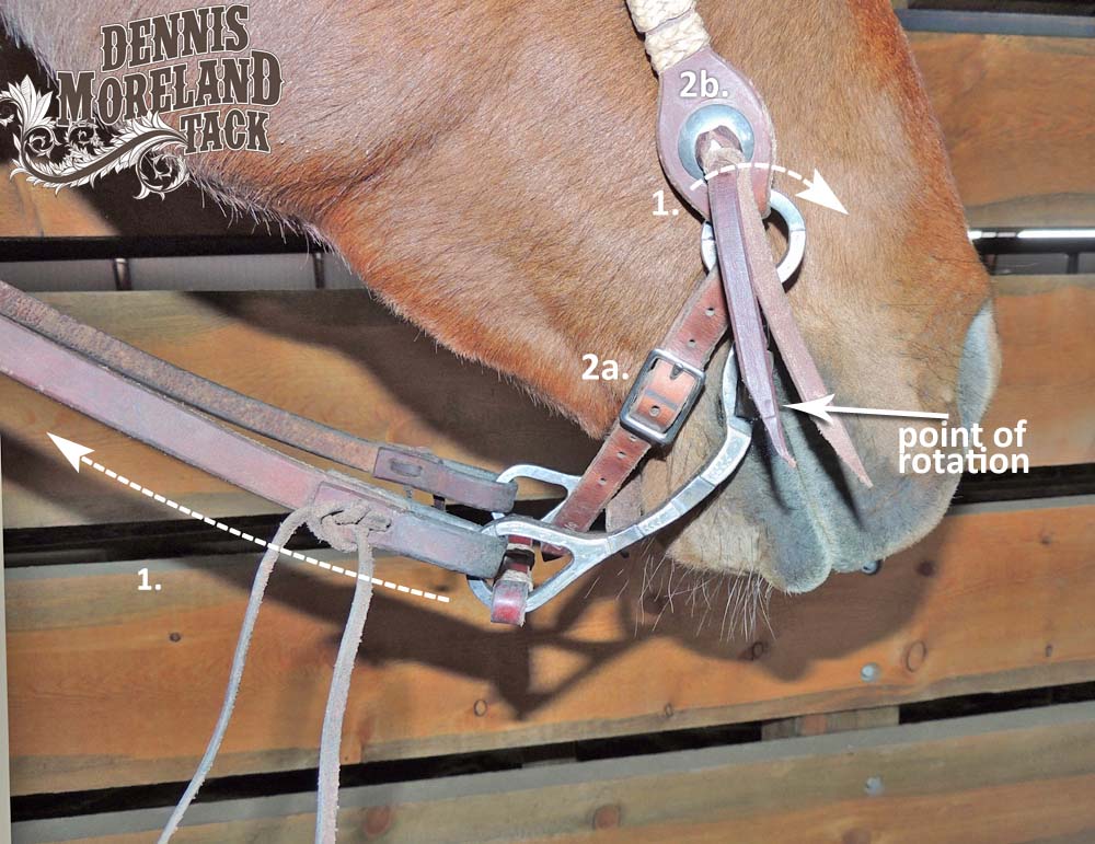 Learn How a Curb Strap works on a Curb Bit