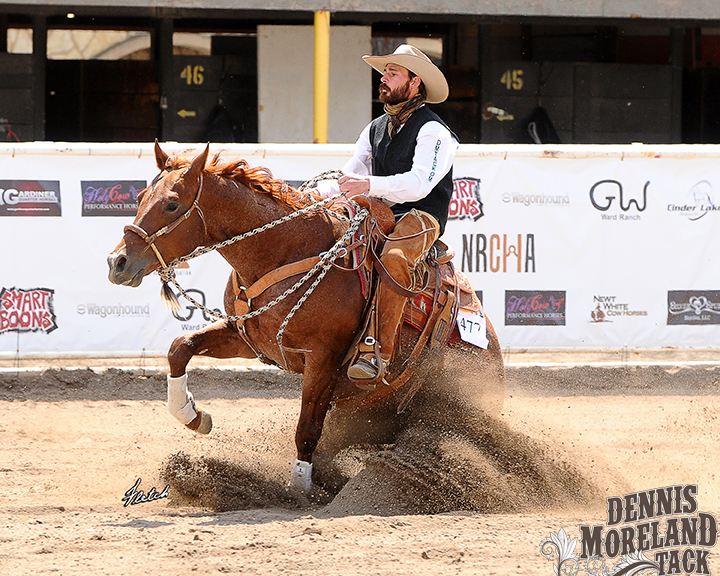 Introduction to the California Hackamore