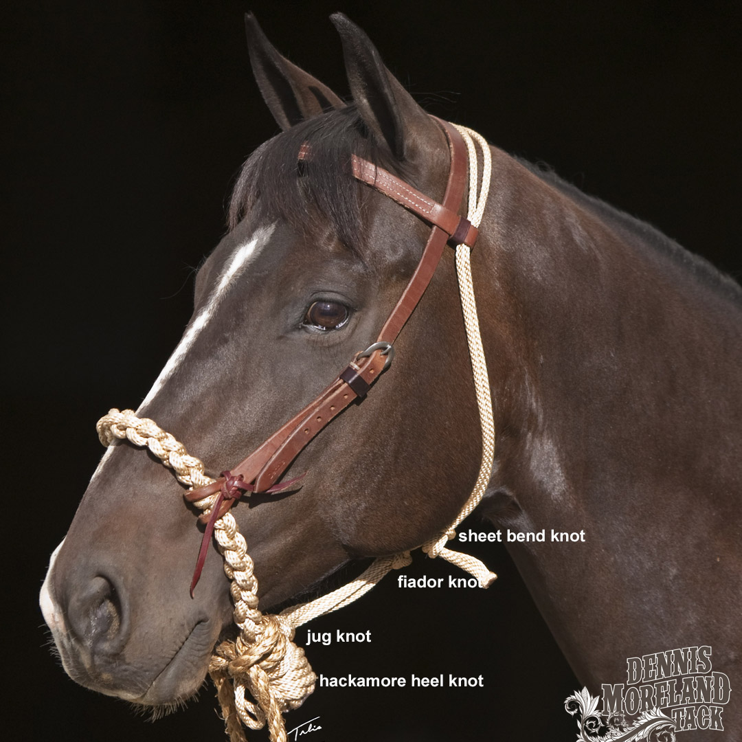 What is a Fiador Knot