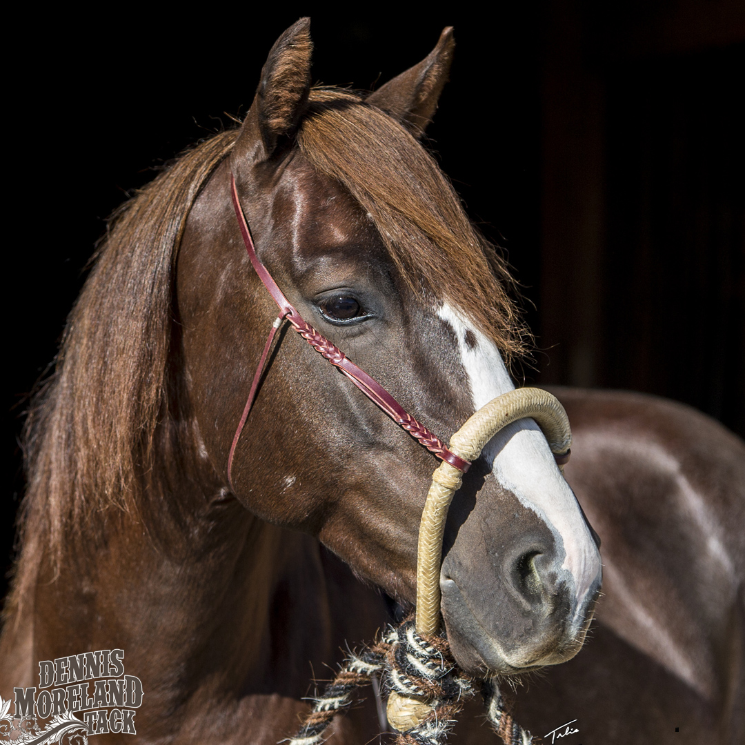 How to Choose the Right California Hackamore or Bosal