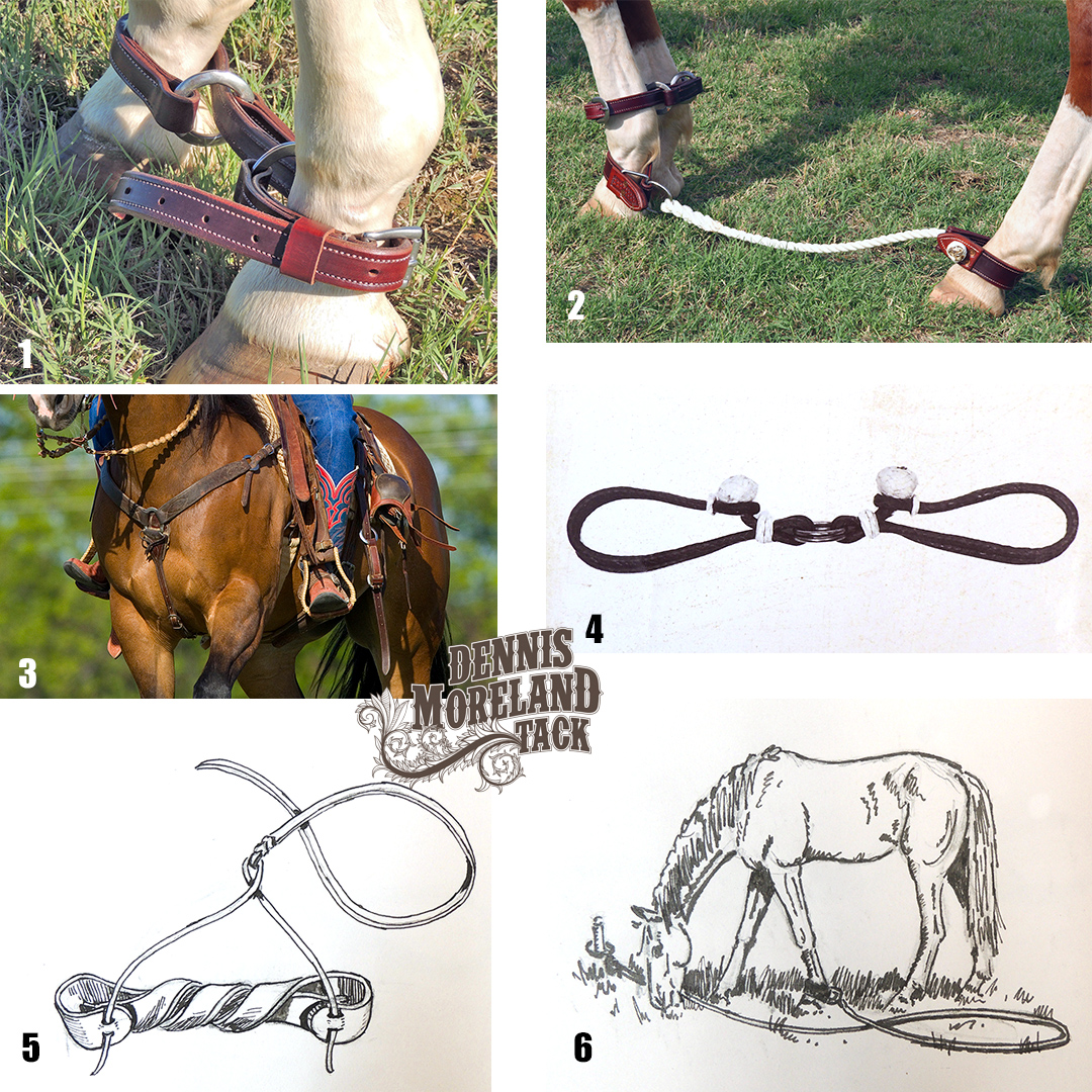 Hobble Savvy and History