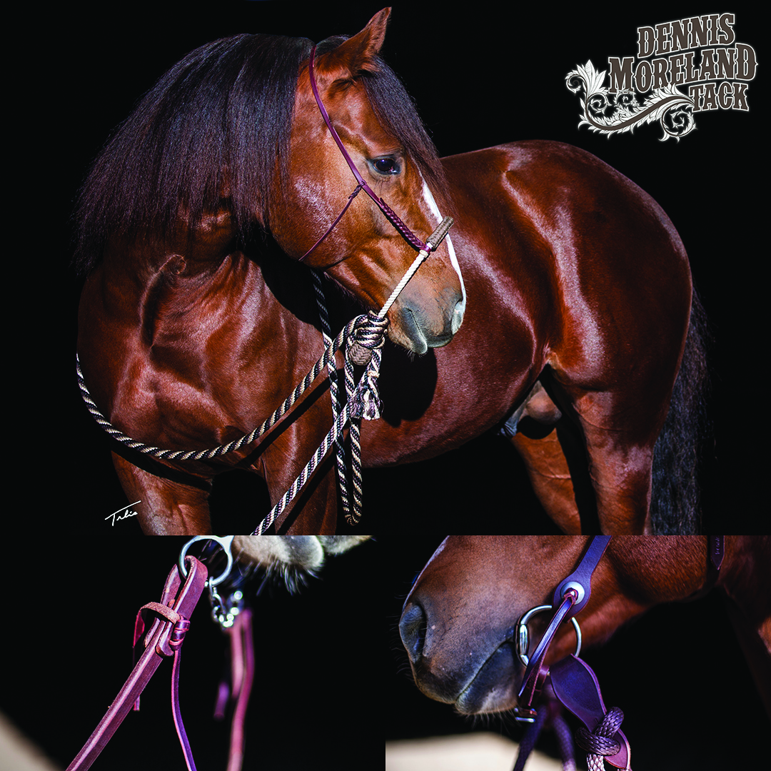 Try A New Type of Reins