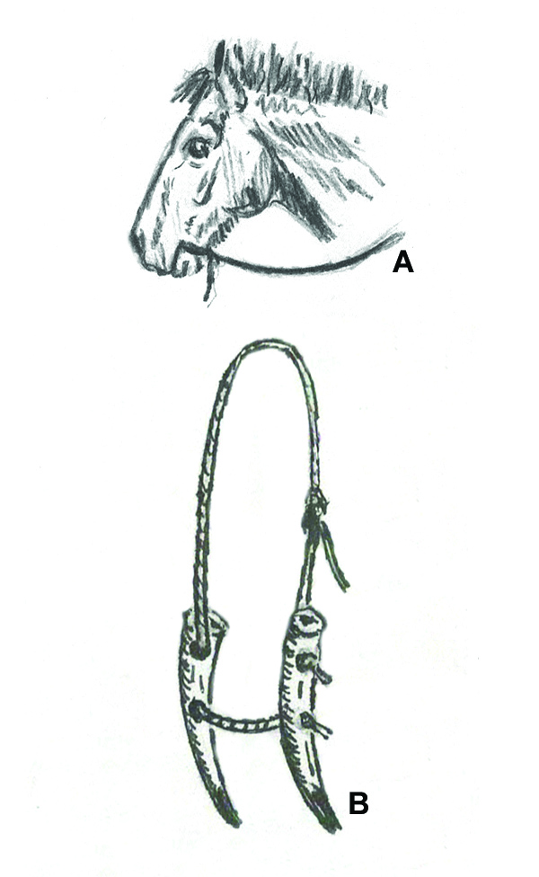 History of Bits-jaw strap and deer antler cheeks