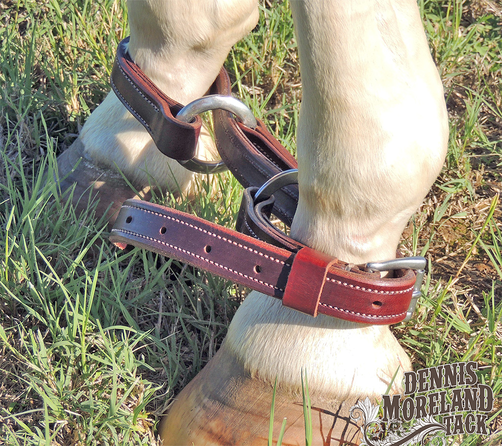 A Hobble Broke Horse is a Safer Horse